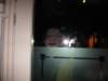 carnaval2009215_small.jpg