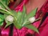 flowerpoweravond018_small.jpg