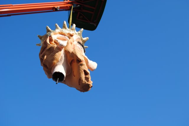 photo46.jpg
