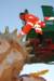 photo51_small.jpg