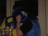 carnaval2009200_small.jpg