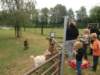 kepkesweekend140_small.jpg